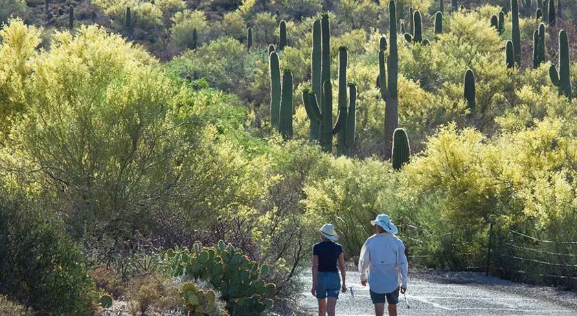 Tucson Vacation House in a Wildlife Sanctuary