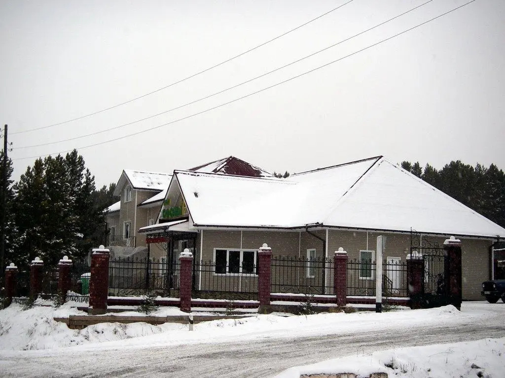 Three pines