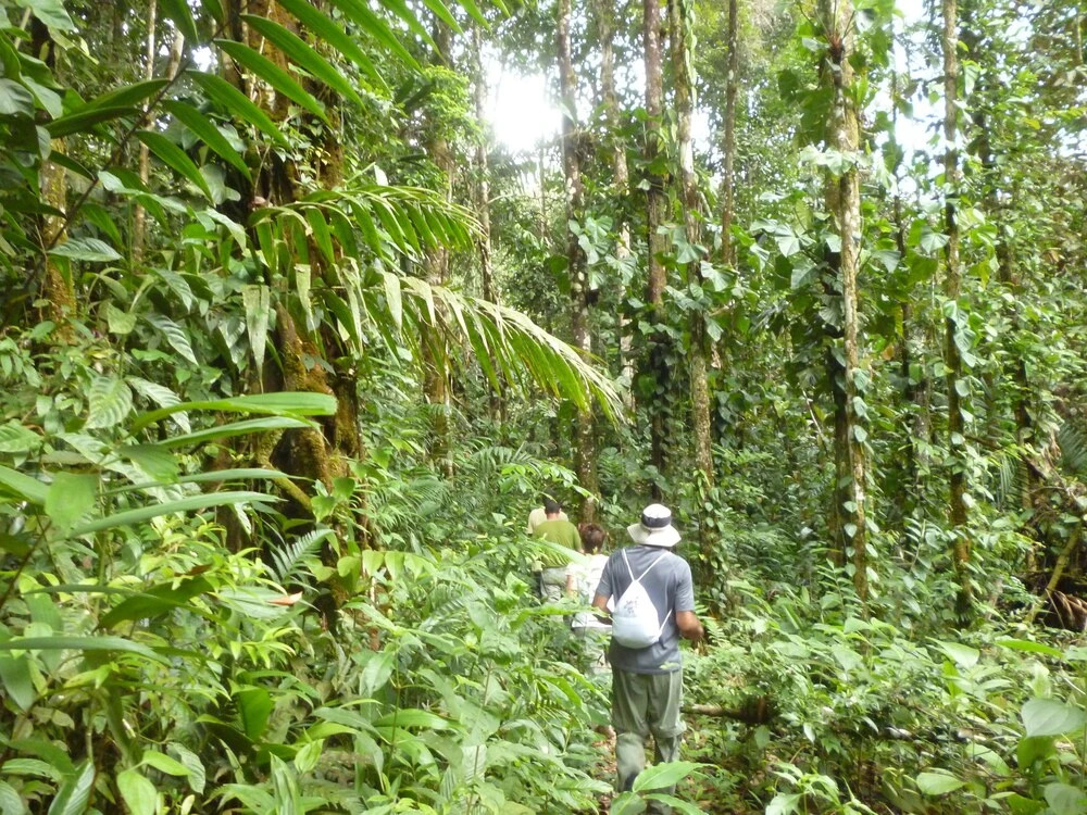 Mapara Lodge