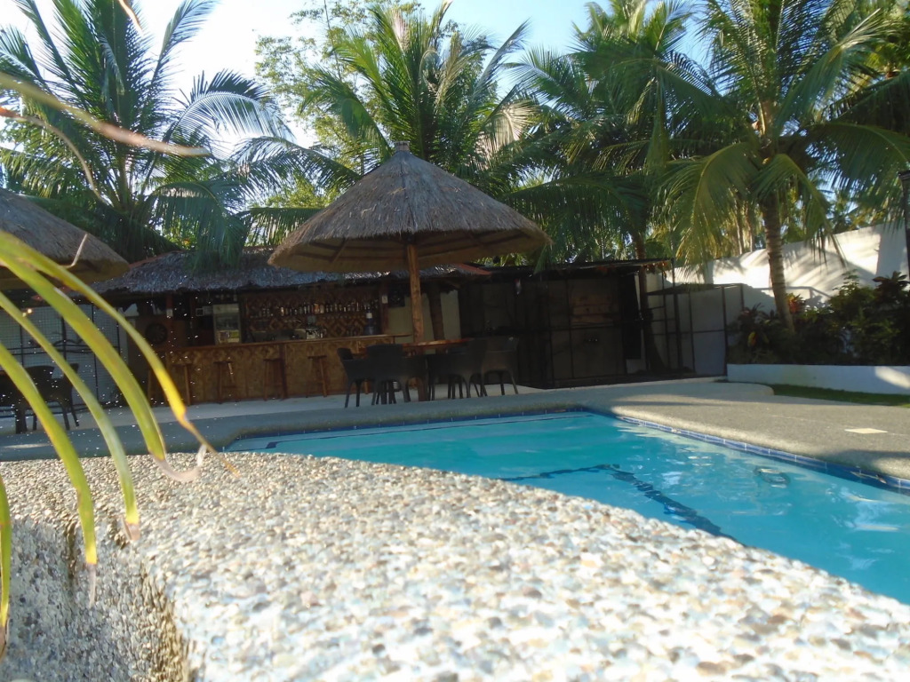 Parrot Resort Moalboal
