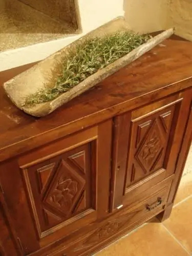 La Llicorella