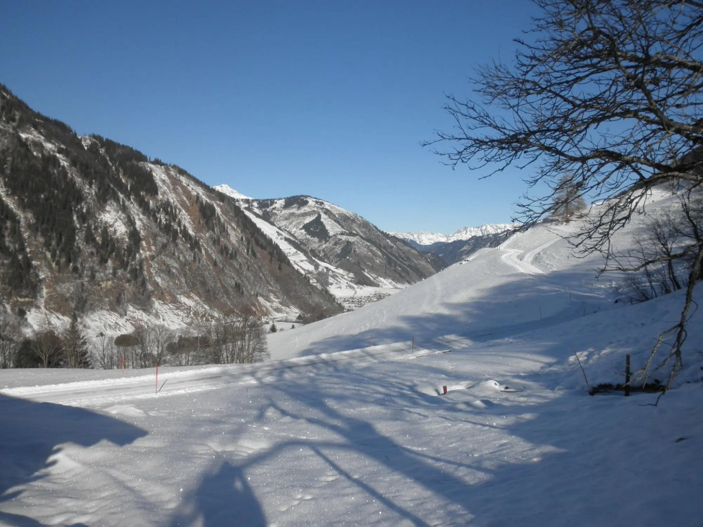 Chalet in Rauris near Ski Paradise