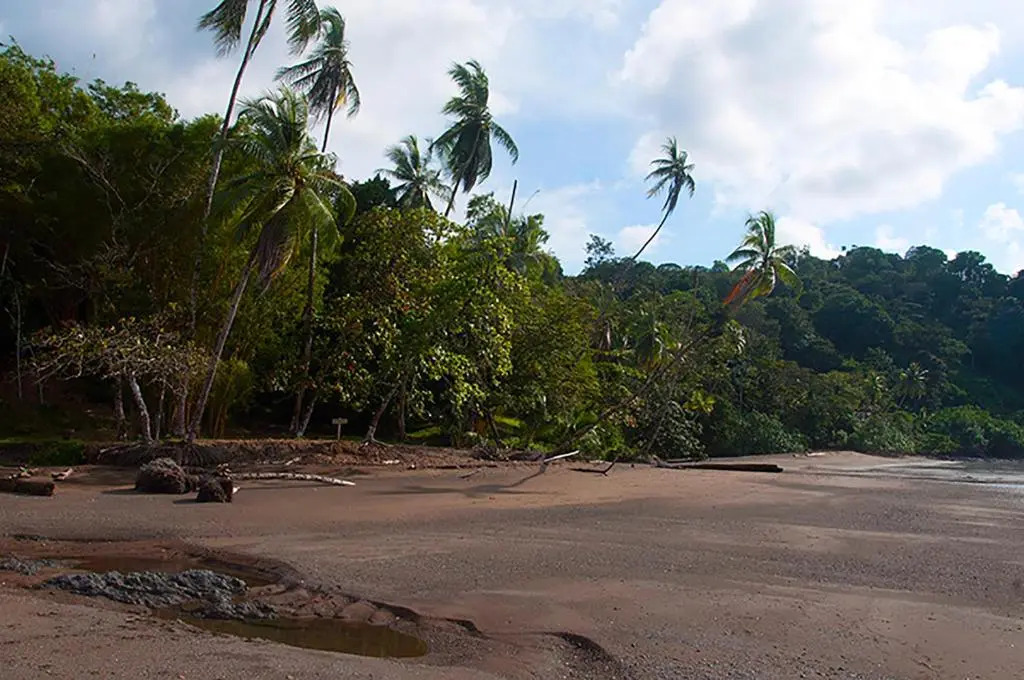 Pirate Cove