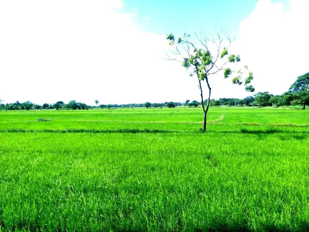 Athyantha Resort