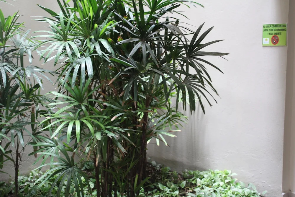 Department Serenity Selvanova for 8 People