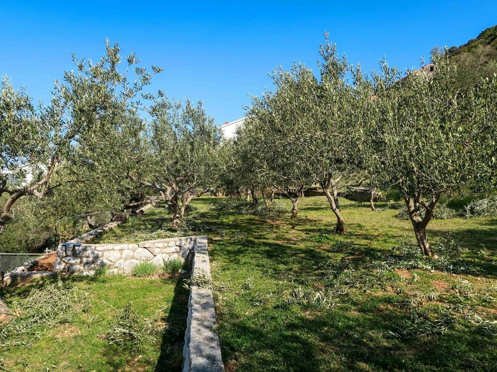 Villa Supetarska (890)