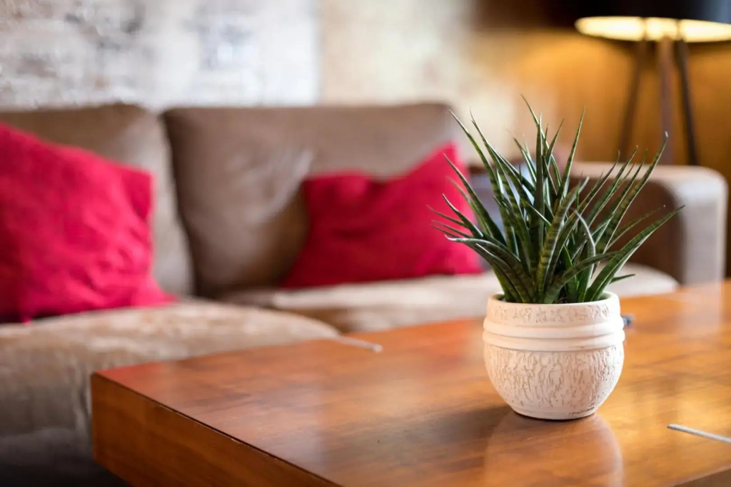 Special Retreat Apartment & Home-Office & Workplace
