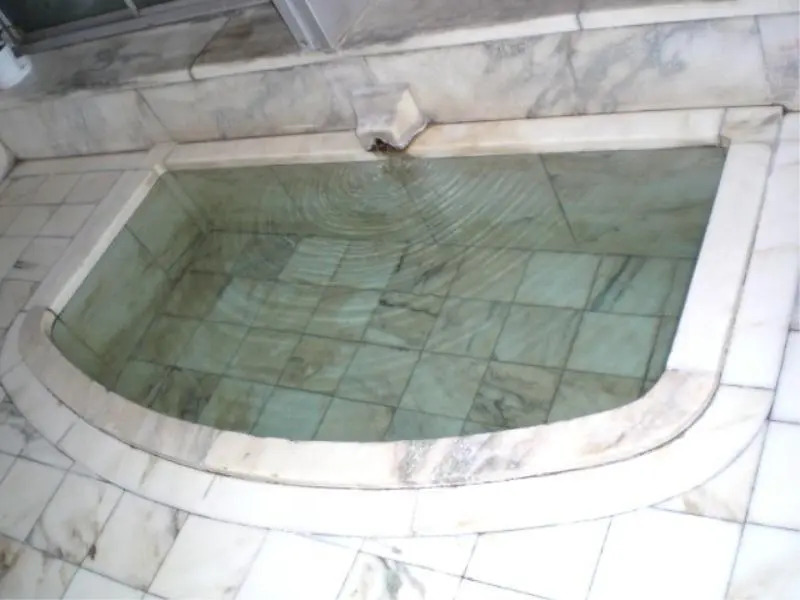 Shin-matsuba Ryokan