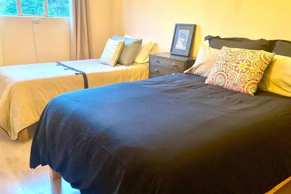 Amazing Cozy Apartment in Condesa