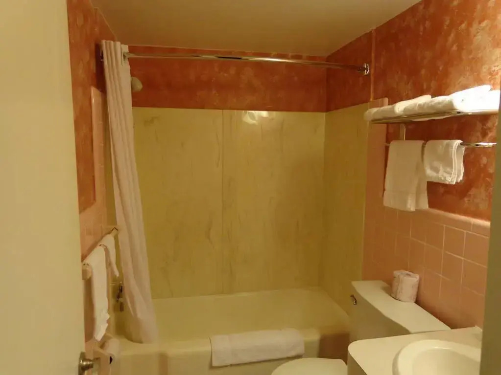 Spartan Motel - Rochester