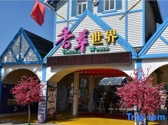 JZSS International Apartment
