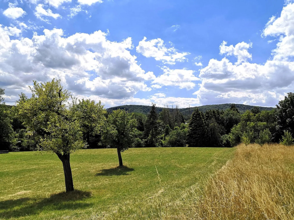 Stellar Apartment in Detmold With Garden