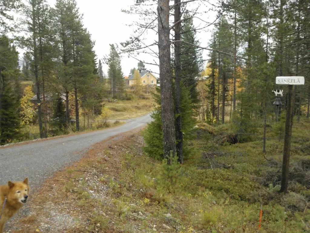Sänkelä Cottage