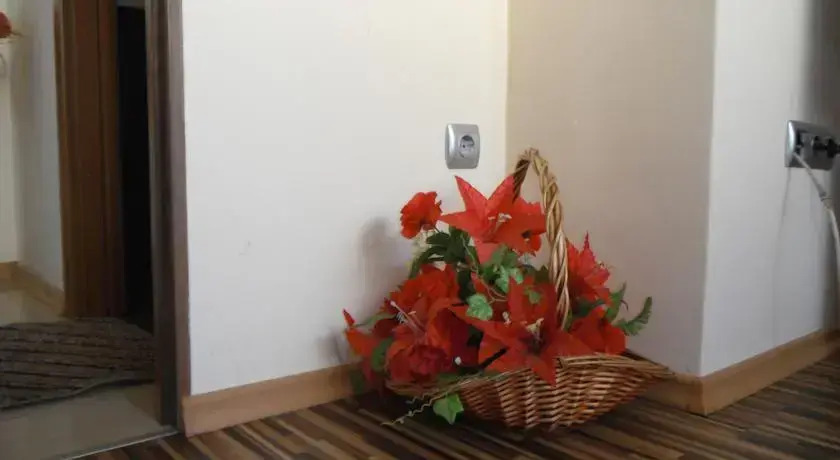Shans 3 Guest Rooms