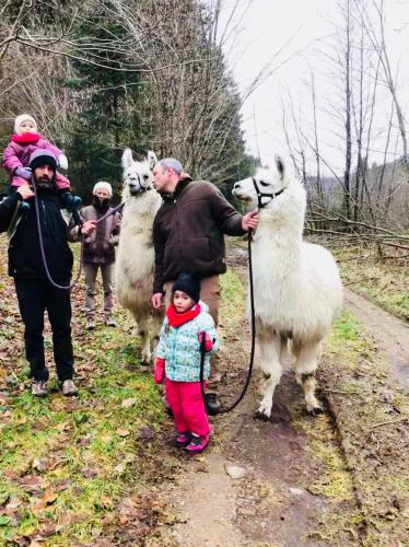 Gite Familial Scaravella