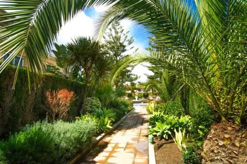 First line townhouse Venalmar