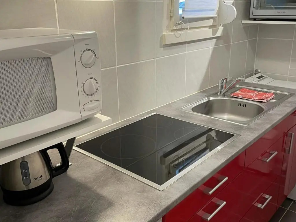 Appartement Aix-les-Bains, 1 pièce, 2 personnes - FR-1-617-5