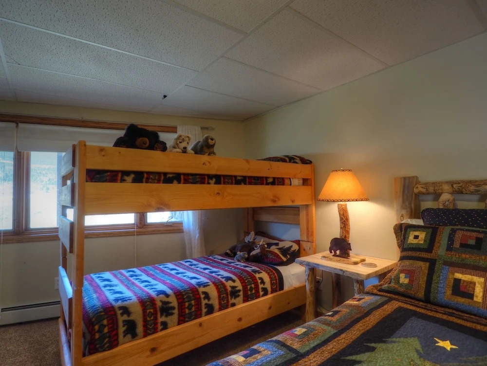 Lily Mountain Lodge - E.V.Reg #3498 - 4 Br Home