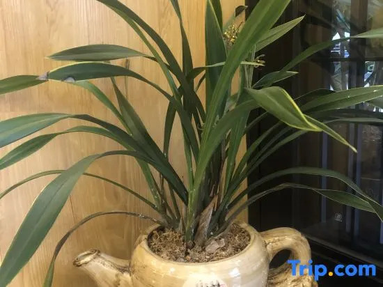 Hengyang Hengyue residence·Homestay (Nanyue Damiao Branch)
