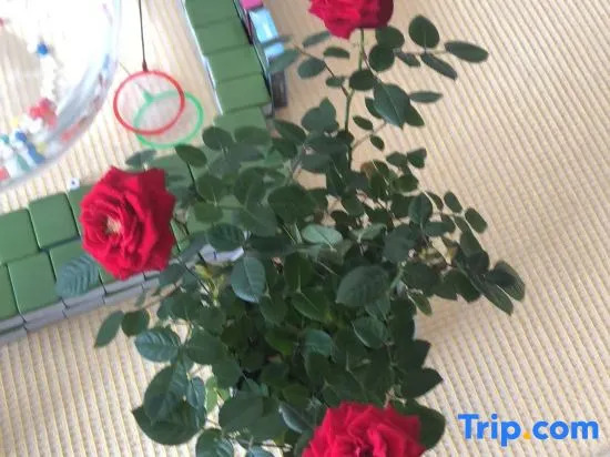 Shenyang encounters love tribes B&B