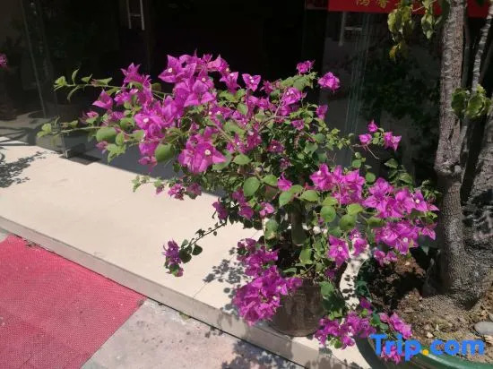 Hongxin Hotel (Qingyuan People's Hospital Gymnasium)