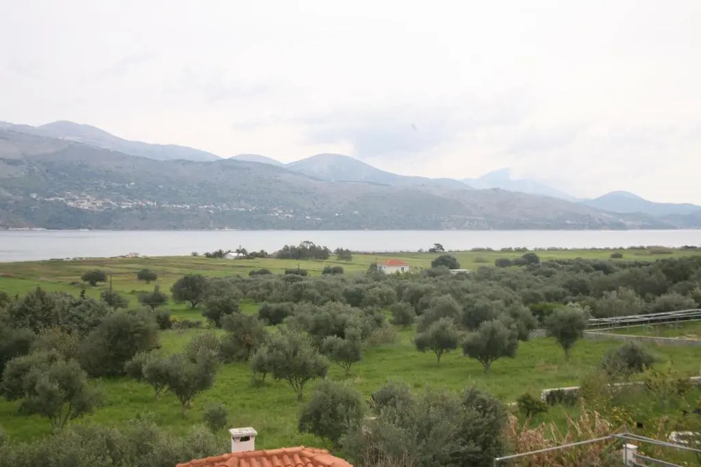 Panorama