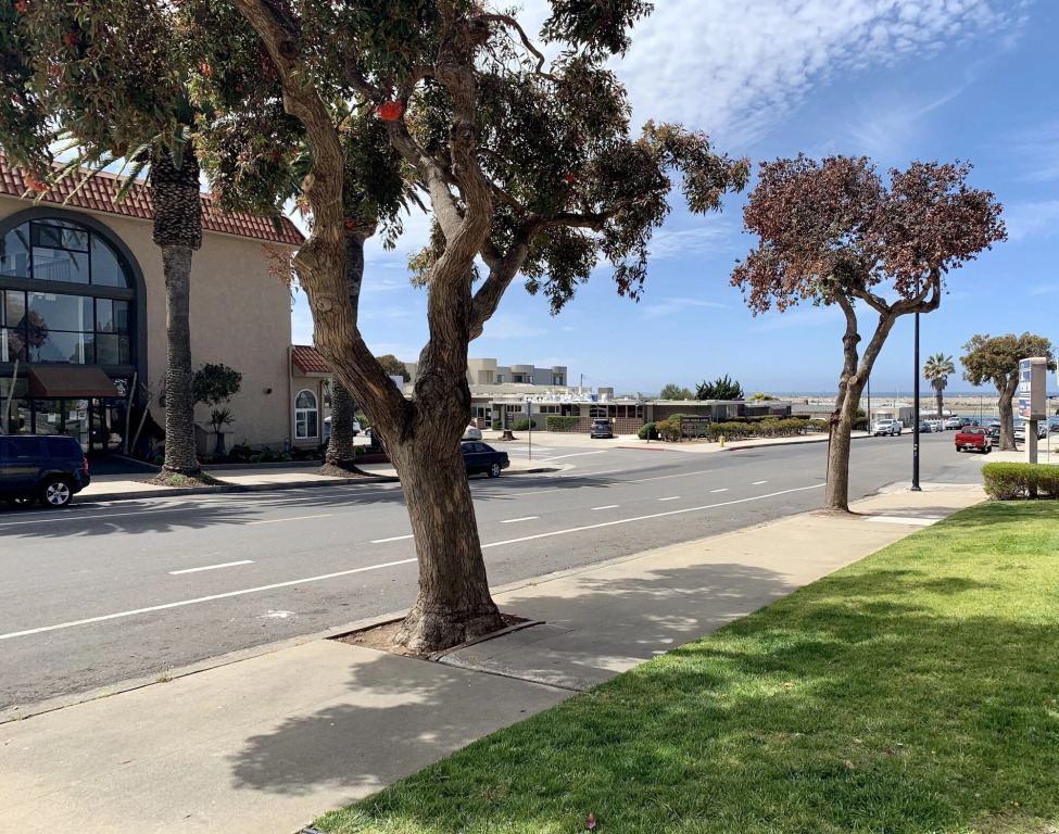 Avalon Inn Downtown Morro Bay