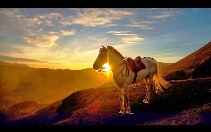 Homestay Ricky 2 Gunung Bromo