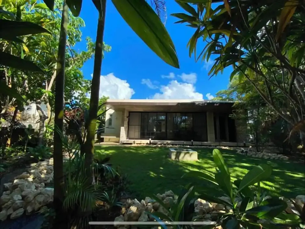 BANYAN217