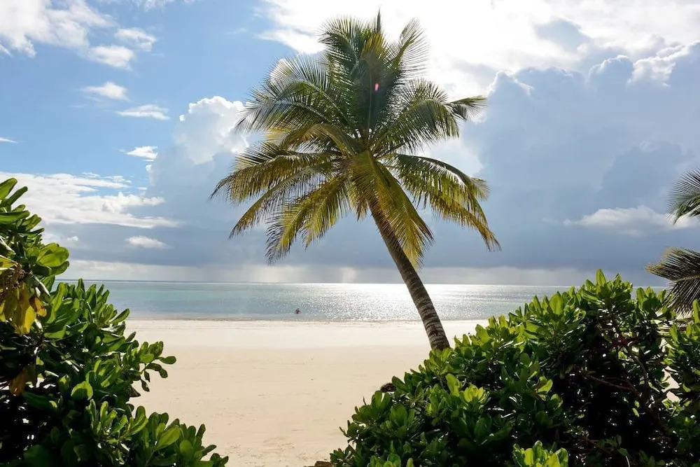Hodi Hodi Zanzibar