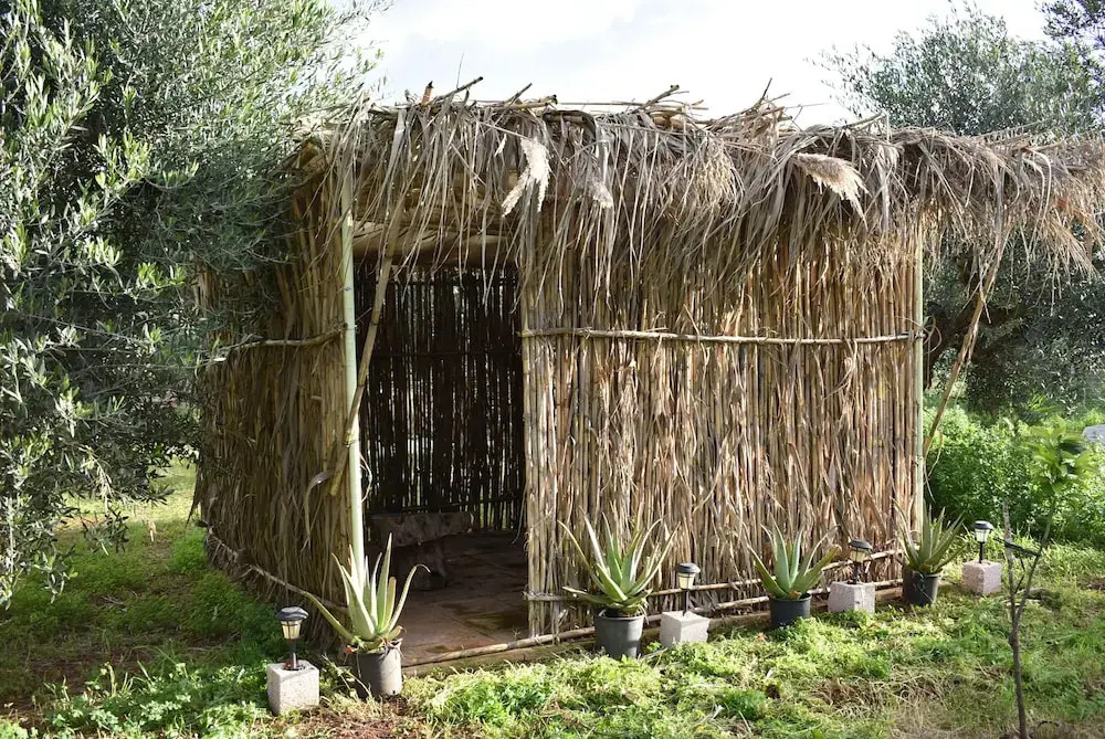 Cocoon Tent in an Olive Grove