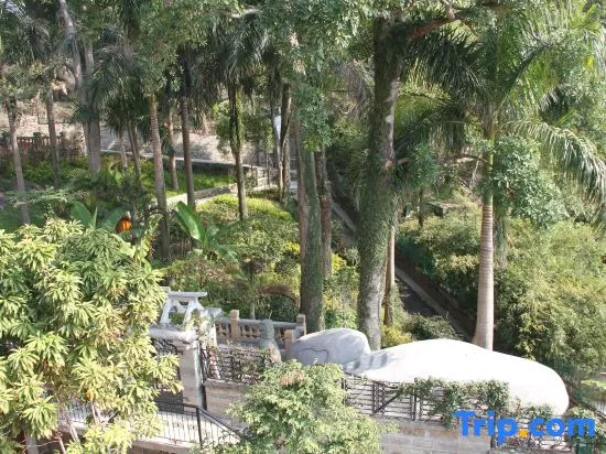 Gulangyu Chuncao Fragrance Seaview Villa (Sanqiutian Wharf Branch)