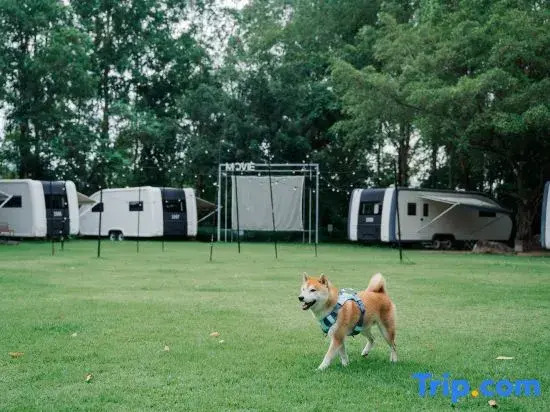 Zhonglv Anaya Jiulong Lake · A.CAMP RV Campground