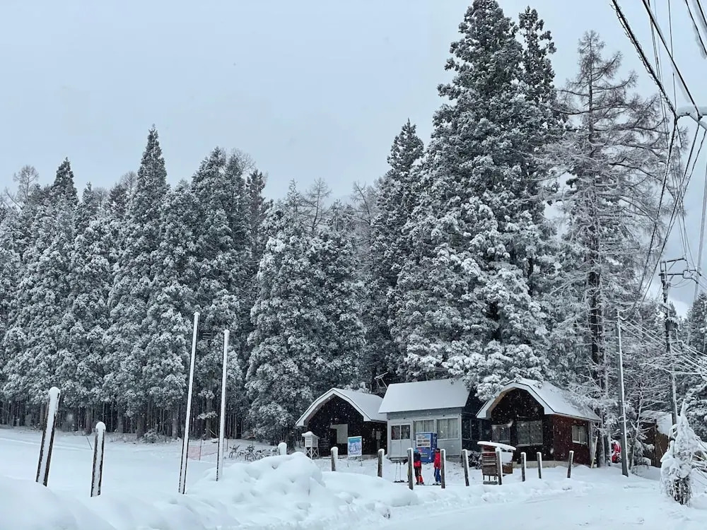 Hakuba Sun Valley Hotel