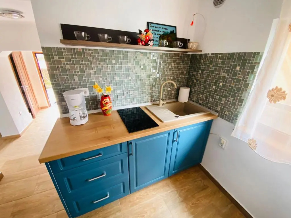 Andrei's house