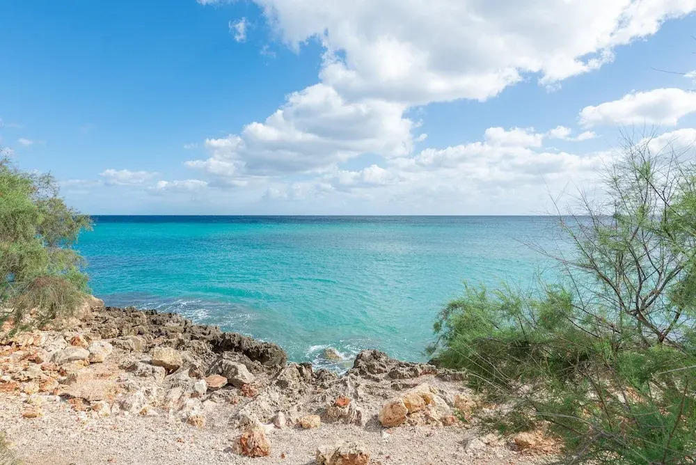 Antic 101 in Mallorca