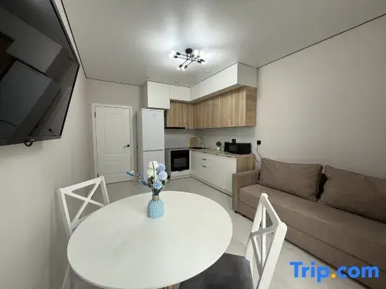 Nise Raiymbek residence 19-45 1BR & drinking water