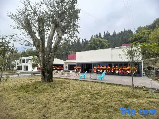 Yunli Chanyang Homestay (Jinfo Mountain)