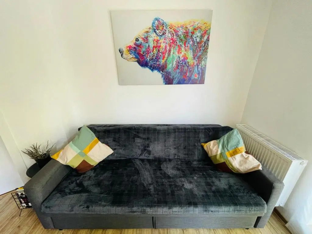 Ama Apartament - Cota 1000 Sinaia
