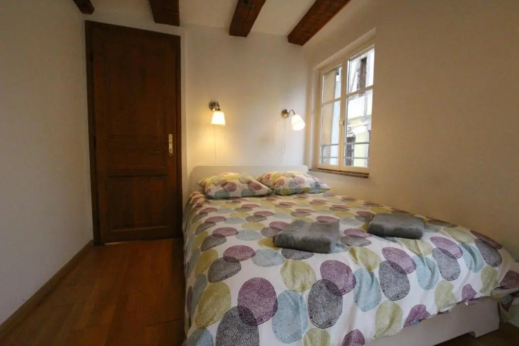 Colmar Historic Center - Alsacian Appartement PETITE VENISE 1 - BookingAlsace