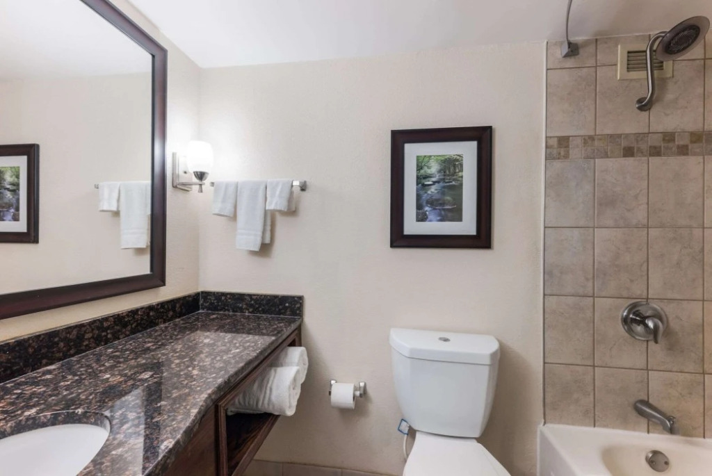 Clarion Hotel and Suites