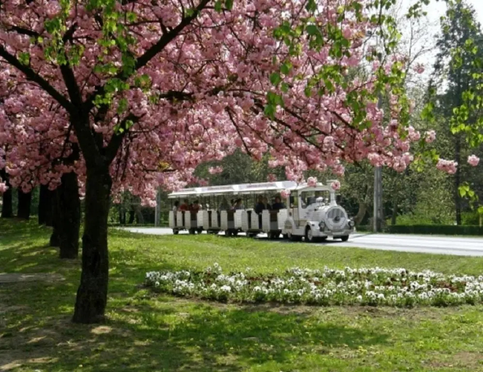 Laci Apartman