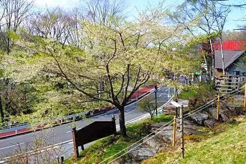 Pension Kofu - Vacation STAY 75580v
