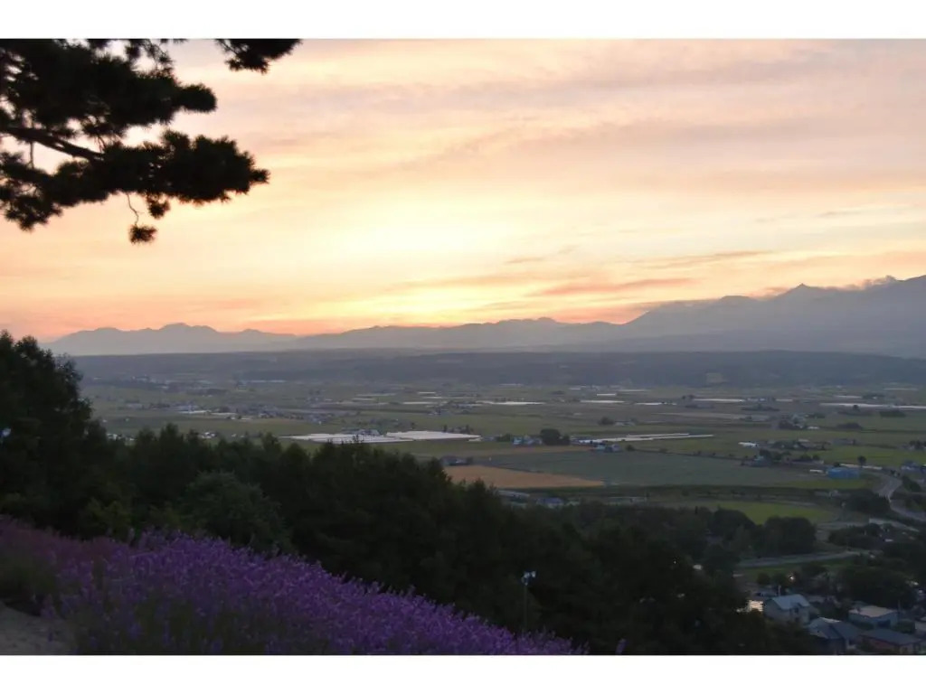 Hotel Hanafuji Inn