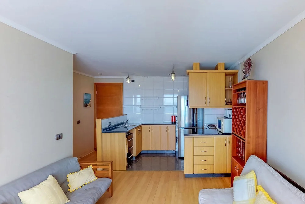 Hermoso Departamento en Av Borgoño