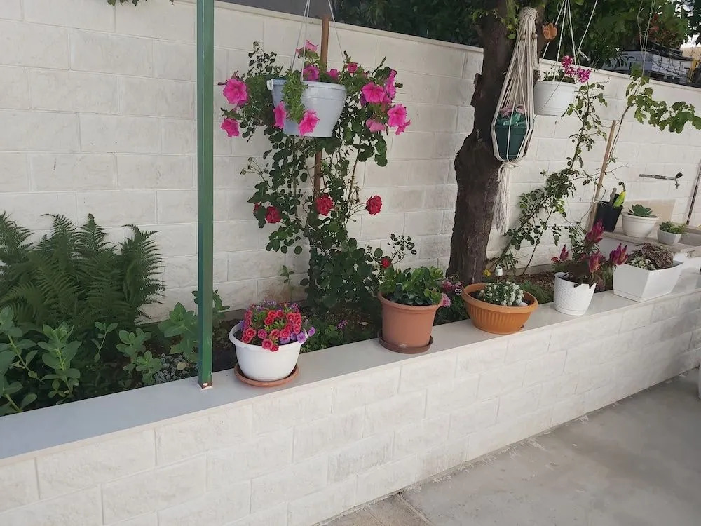 Apartmani Teo