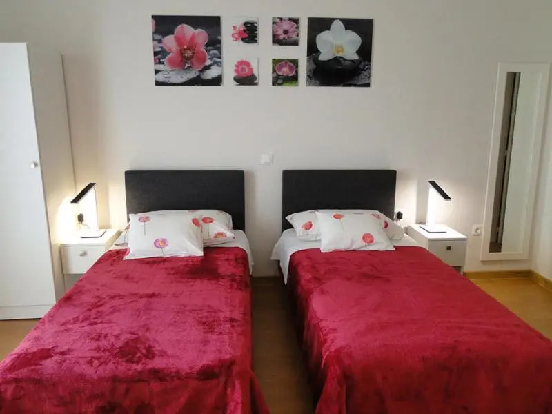 Apartments Zizic