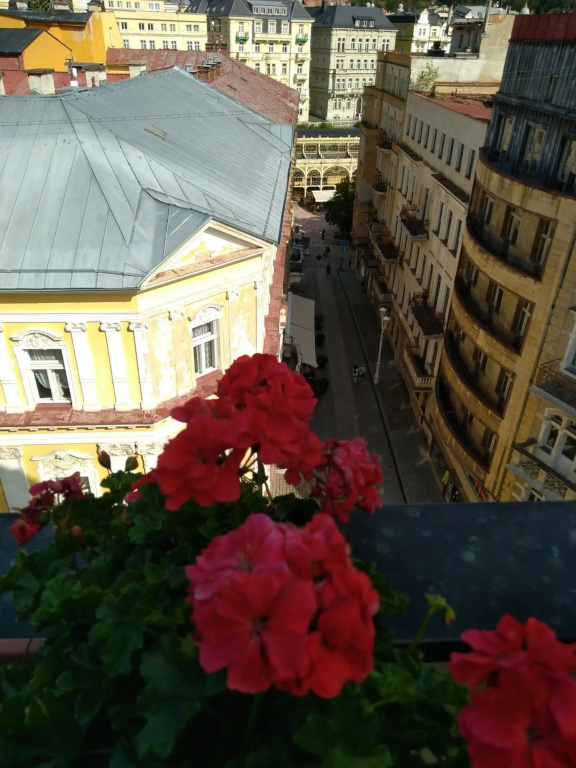 Hotel Flora