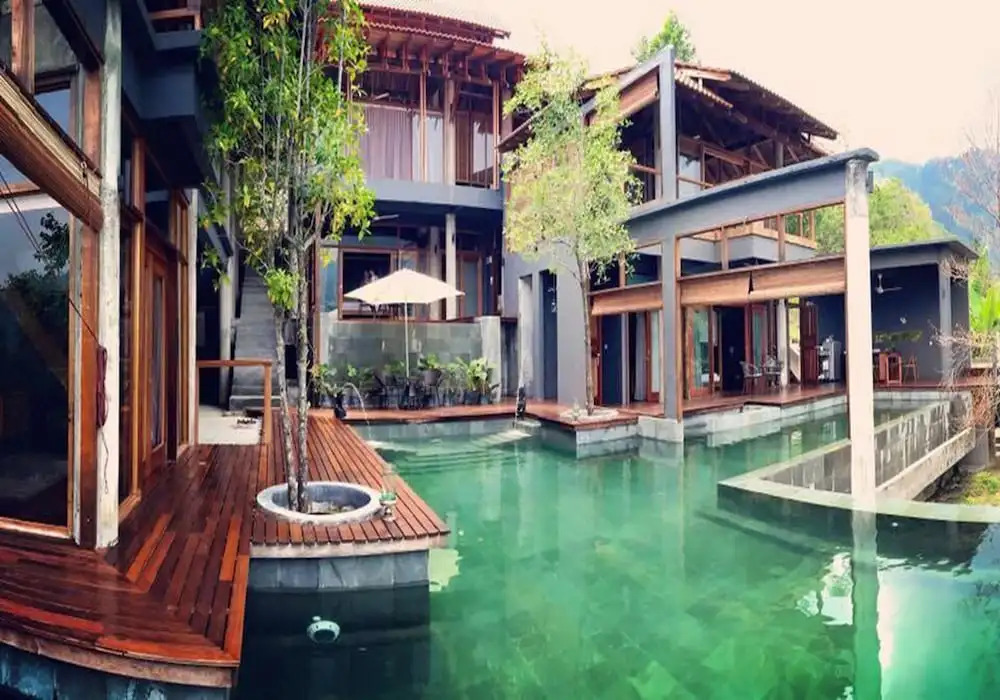 The Shorea