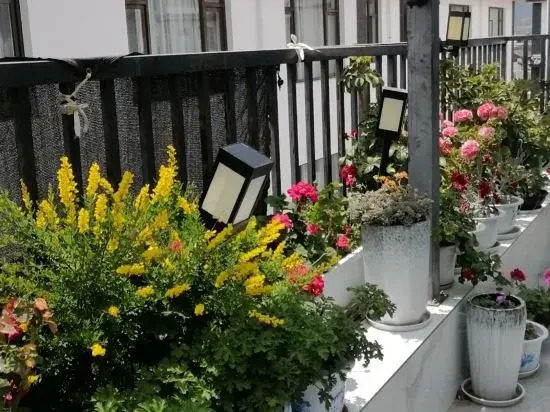 Yongkang Leju|Naxi Courtyard Designer Snow Mountain View Guesthouse (Shuhe Ancient Town Store